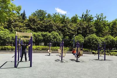 “乐享园林”成果巡展 | 城市绿道篇 编织绿色动脉，乐享活力生活